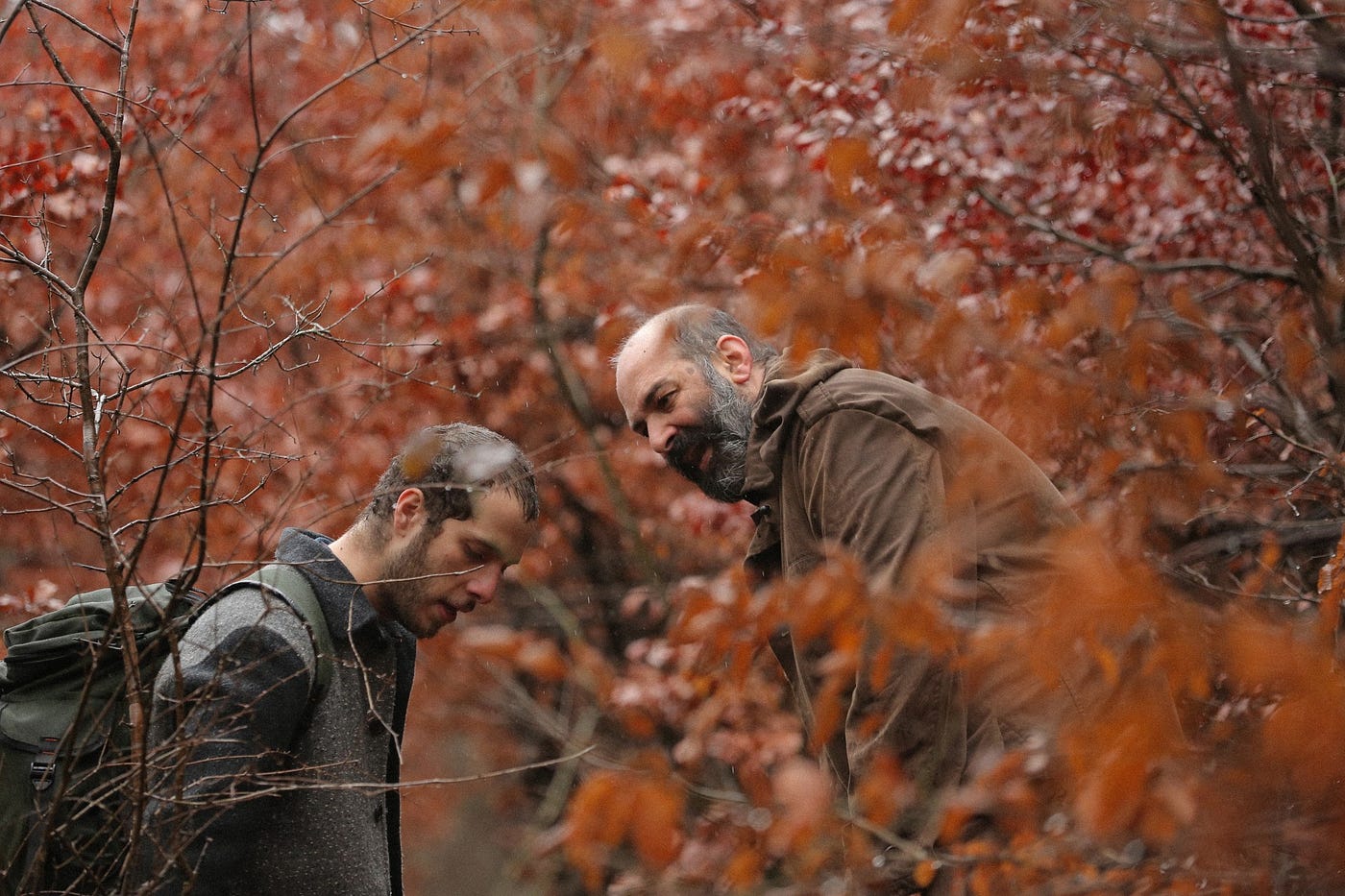 Film poster for The Great Yawn of History